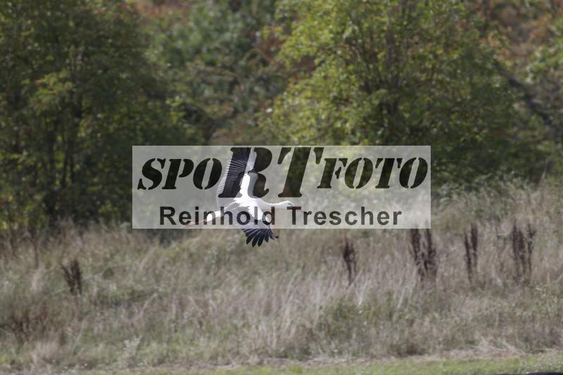 /40 24.08.2026  Cornu Master School ADR/Impressionen